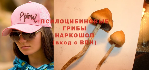 MDMA Красноперекопск