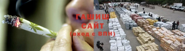прущие грибы Абаза