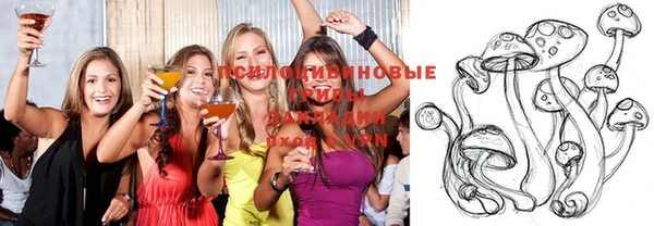 a pvp Краснослободск