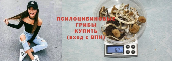 a pvp Краснослободск