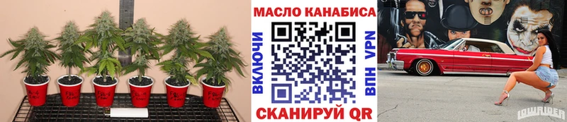 Дистиллят ТГК Wax  Алейск 